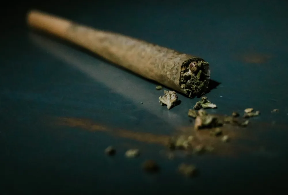 FOTO: Unsplash - Elsa Olofsson elsaolofsson- džoint, kanabis, marihuana
