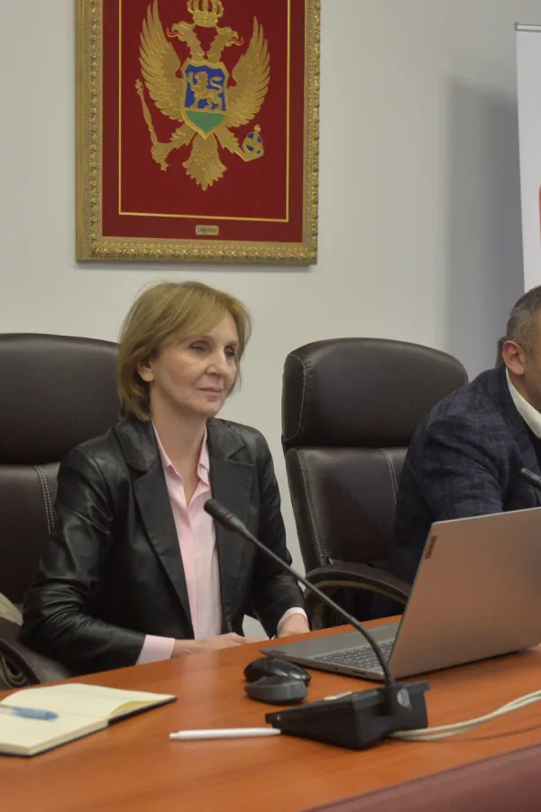 Javna rasprava DUP Danilovgrad