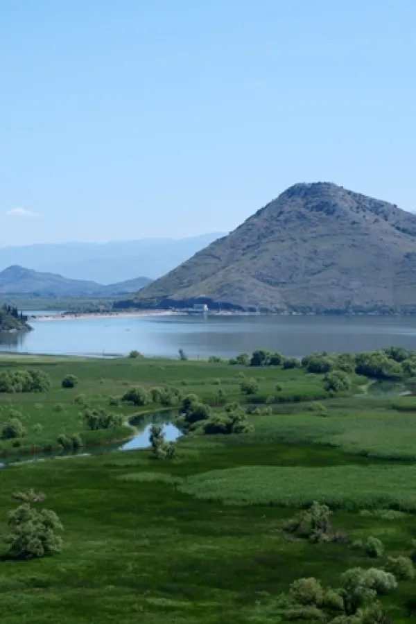 FOTO: NP Skadarsko jezero - Slavica Duri&scaron;ićc.jpg