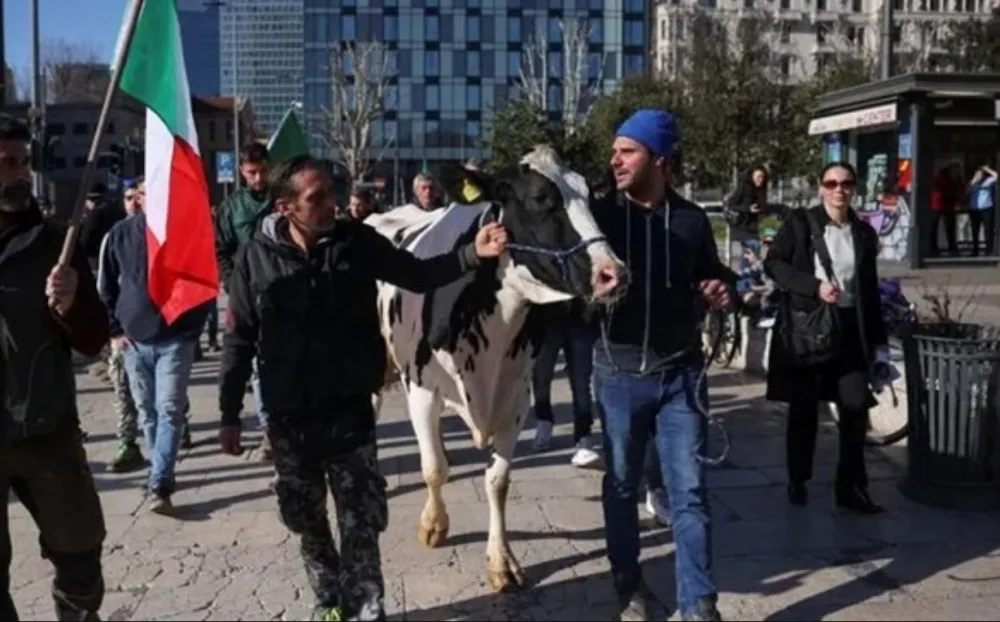 Farmeri Italija
