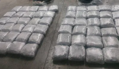 zaplijenjena marihuana