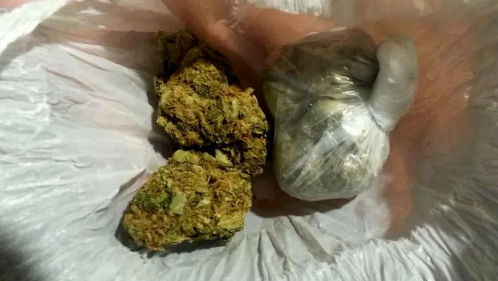 marihuana droga