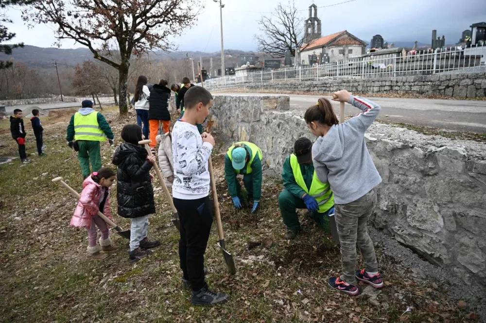 Komani, po&scaron;umljavanje