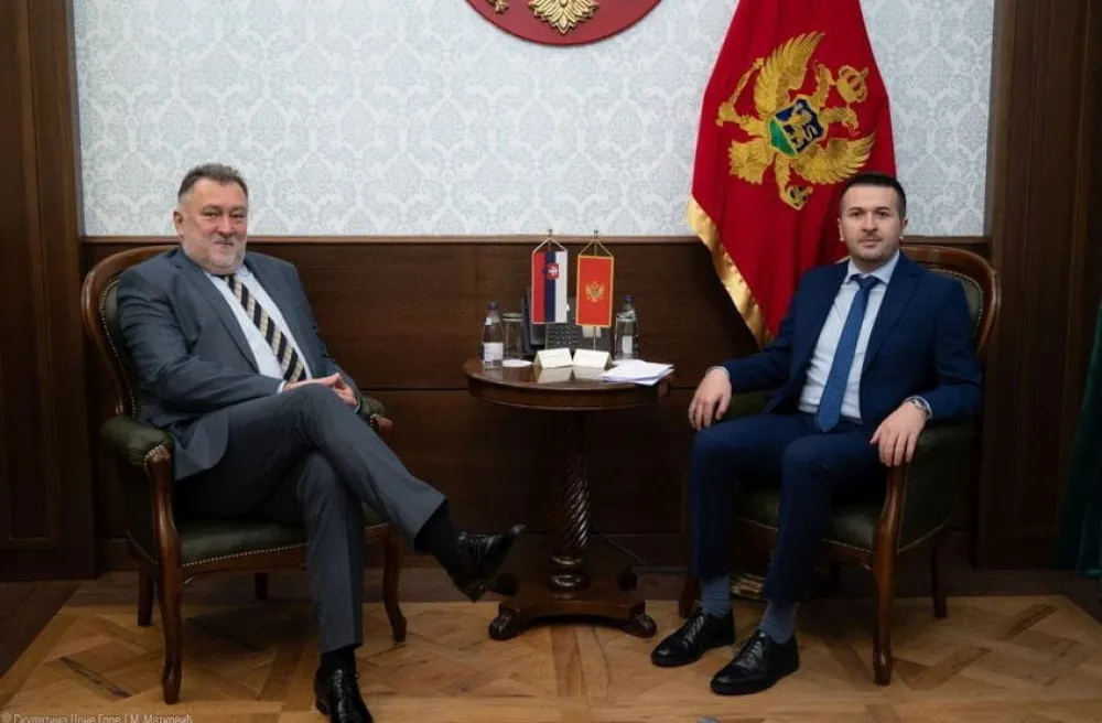Pejović i Gandel