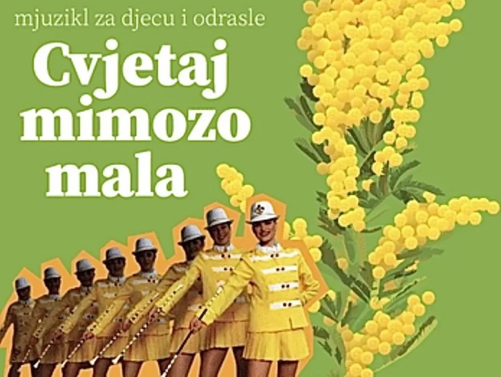 плакат мјузикла