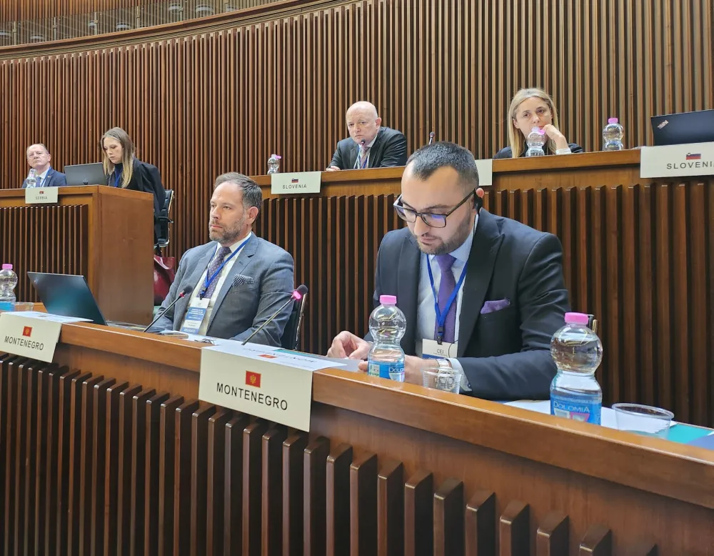 Du&scaron;ko Stjepović 