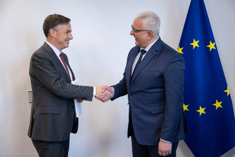 Mandić i Mekalister