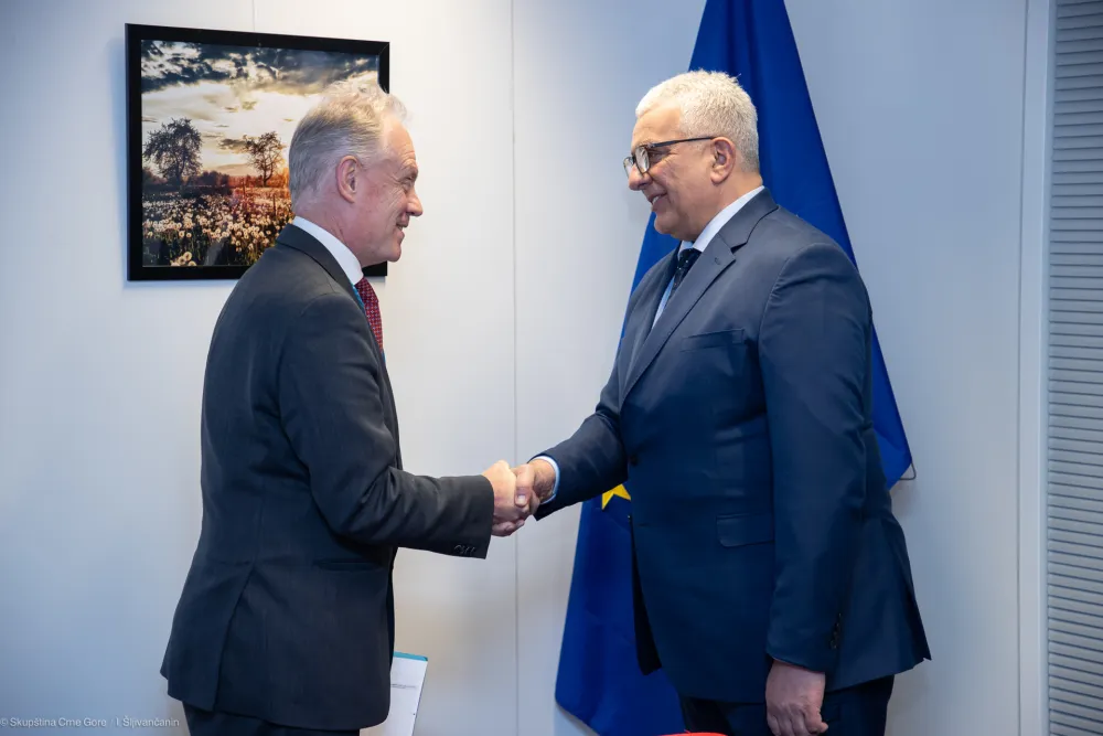Mandić i K
