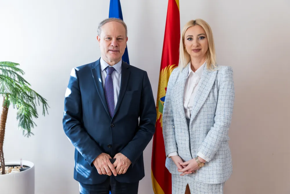 Gorcevic i Trokaz