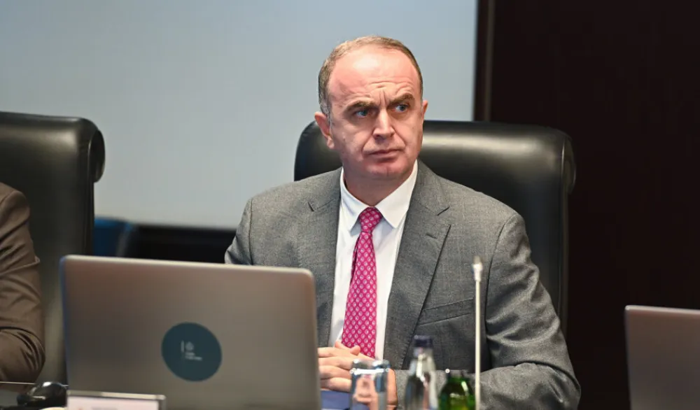 Nik Đeljo&scaron;aj