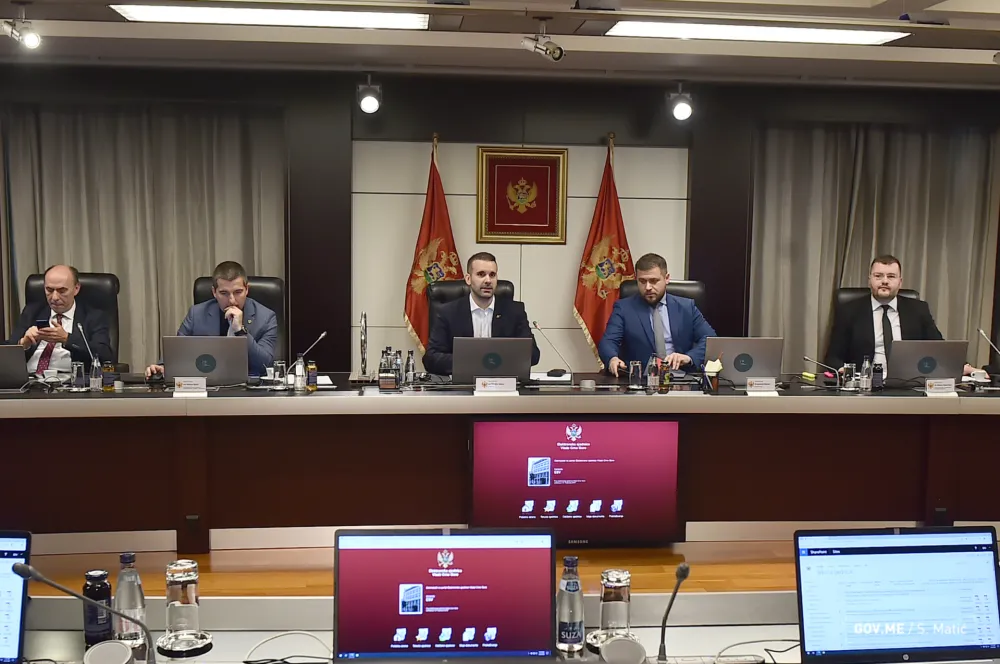 Luka Prodanović novi predstavnik Vlade na skup&scaron;tini akcionara EPCG