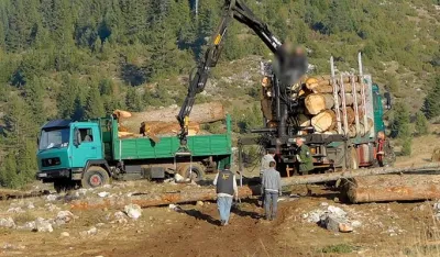Tužila&scaron;tvo izviđa sјeču &scaron;ume u NP Durmitor