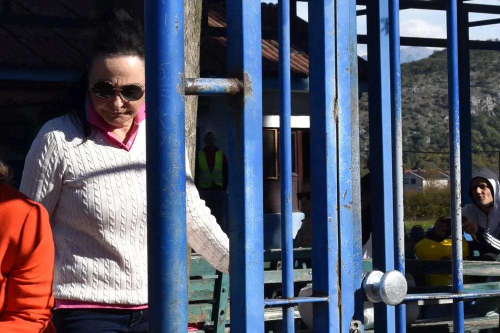 Vesna Medenica, izlazi iz pritvora