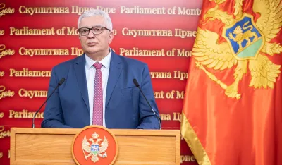 Mandić ponovo izabran za predsjednika NSD-a