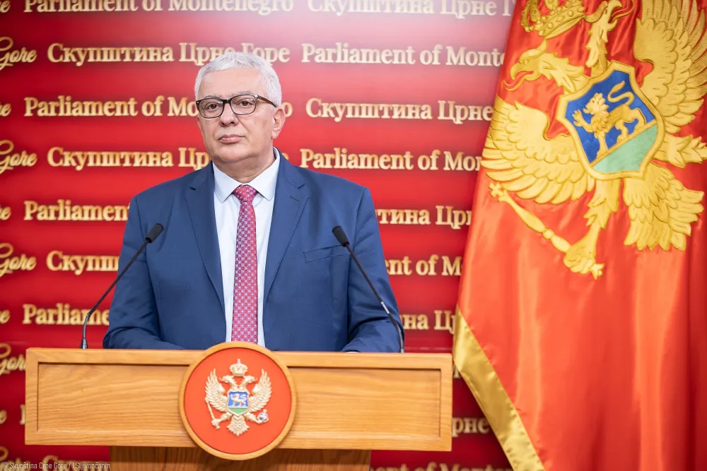 Mandić ponovo izabran za predsjednika NSD-a