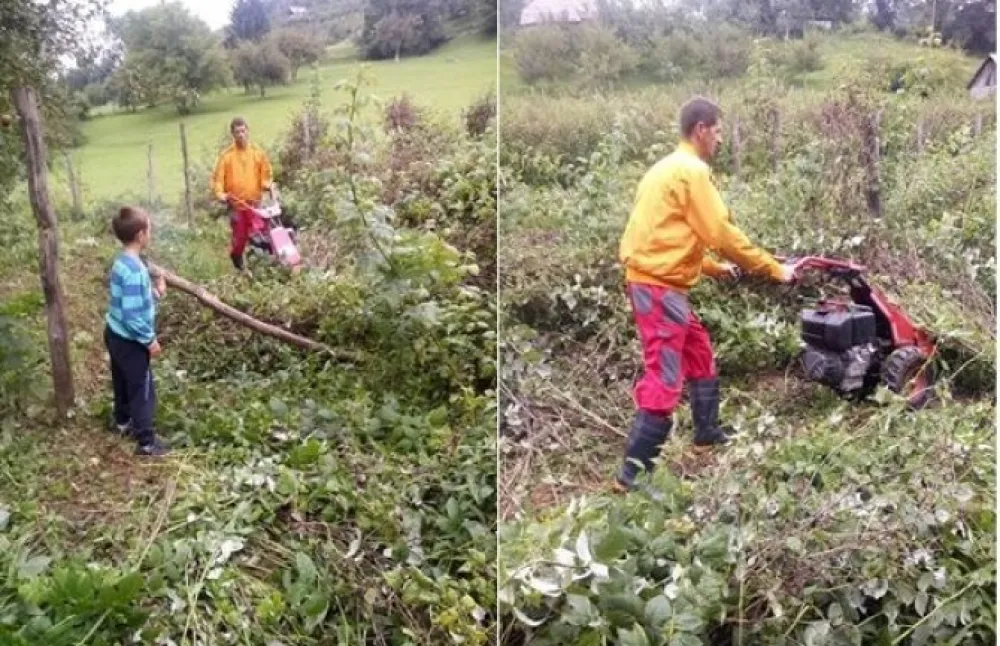Bjelopoljski malinari i hladnjačari traže pomoć ministarstva: Priјe nove berbe naći trži&scaron;te za maline