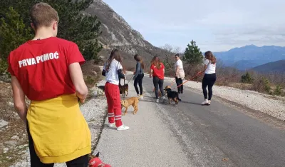 Skloni&scaron;te za pse&nbsp;posjetili mladi volonteri Crvenog krsta Herceg Novi: &Scaron;etali napu&scaron;tene ljubimce