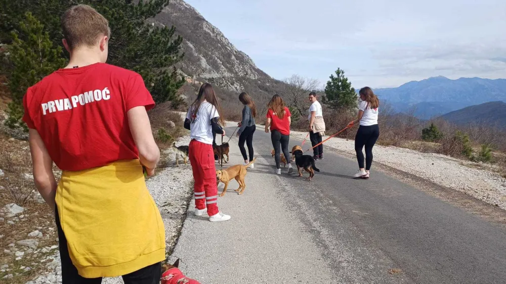 Skloni&scaron;te za pse&nbsp;posjetili mladi volonteri Crvenog krsta Herceg Novi: &Scaron;etali napu&scaron;tene ljubimce