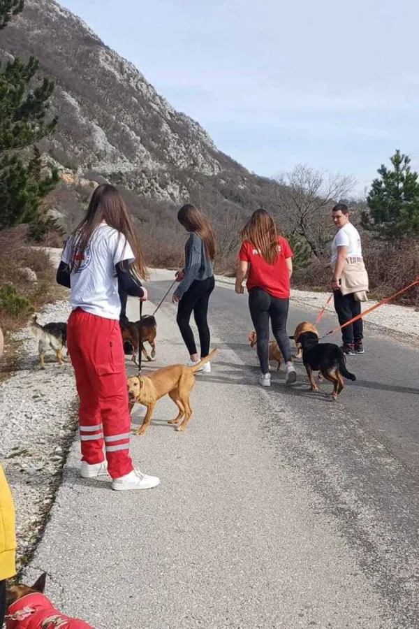 Skloni&scaron;te za pse&nbsp;posjetili mladi volonteri Crvenog krsta Herceg Novi: &Scaron;etali napu&scaron;tene ljubimce