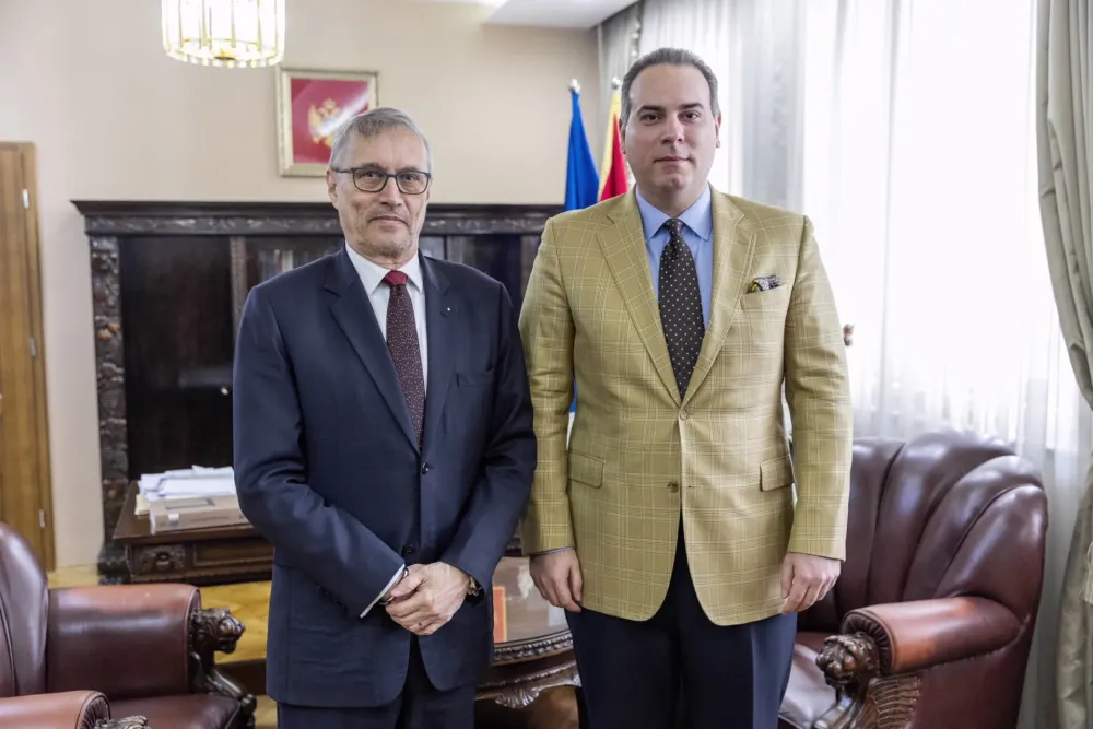 Filip Ivanović sa ministrom evropskih poslova Če&scaron;ke