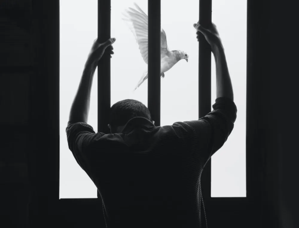 Unsplash, zatvor- ilustracija