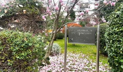  (VIDEO) Gole grane, a cvjetova na hiljade