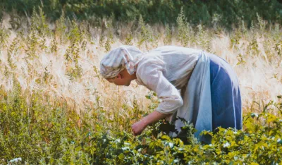 Na samo 15 odsto žena vodi se poljoprivredno gazdinstvo
