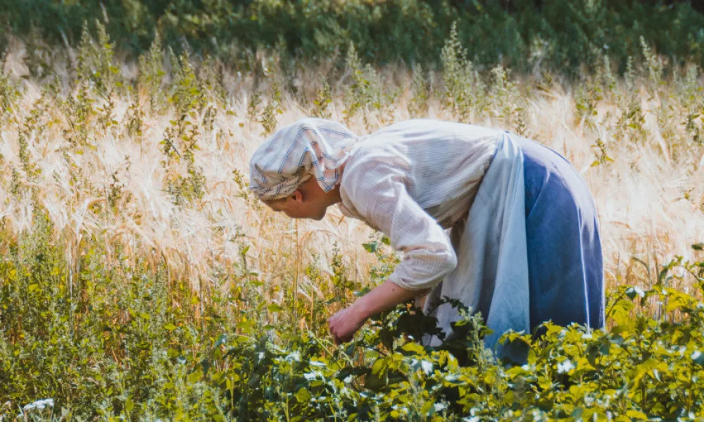 Na samo 15 odsto žena vodi se poljoprivredno gazdinstvo