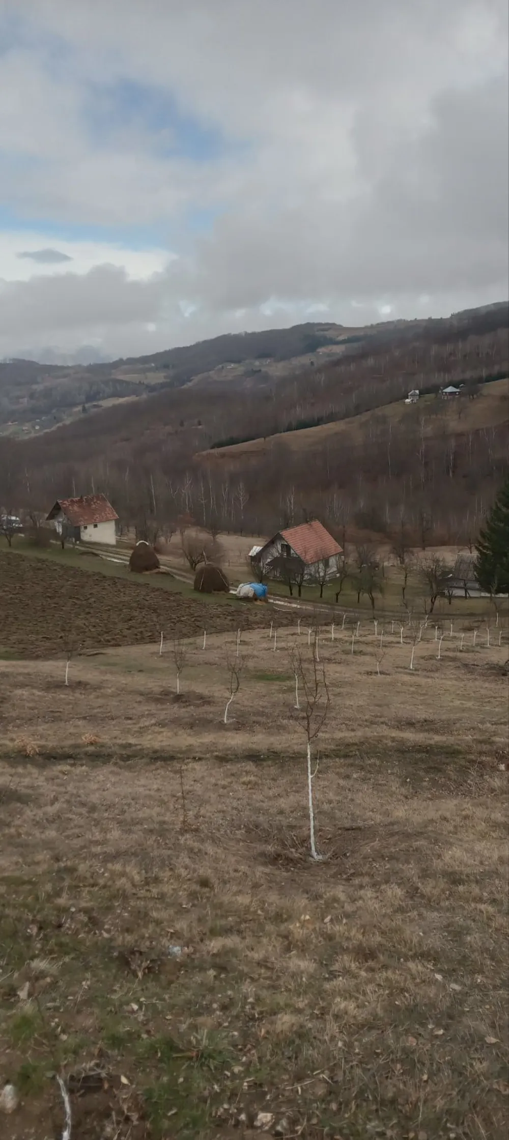 Погед на село Заград