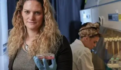 Organoidi testisa su napravljeni od embrionalnih i neonatalnih testisa mi&scaron;a