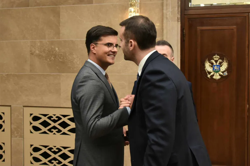 &Scaron;aranović i Spajić