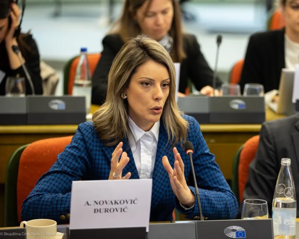 Ana Novaković Đurović