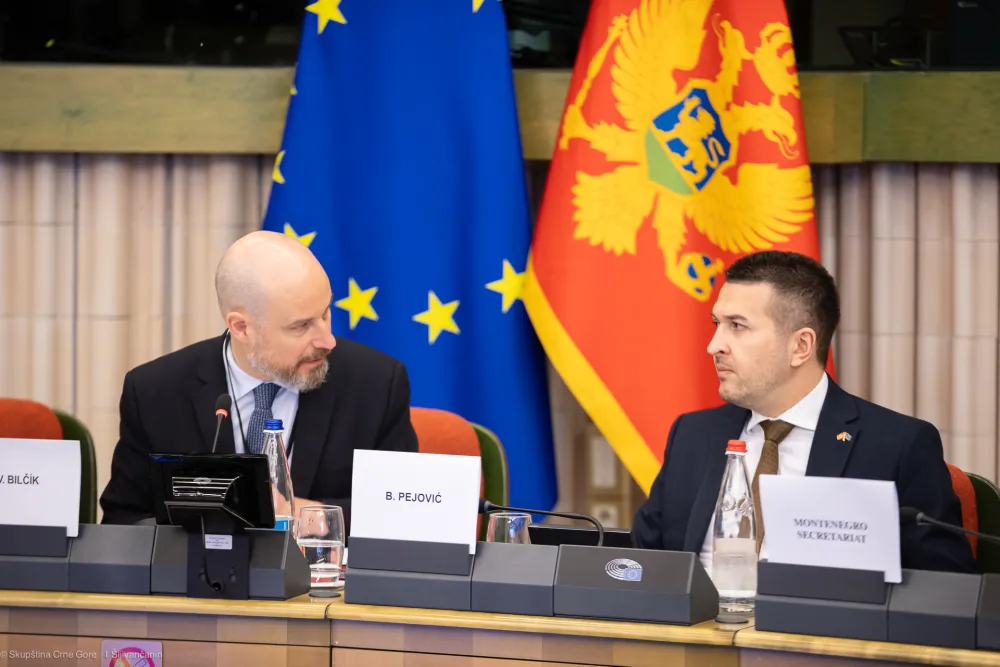 Vladimir Bilčik i Boris Pejović