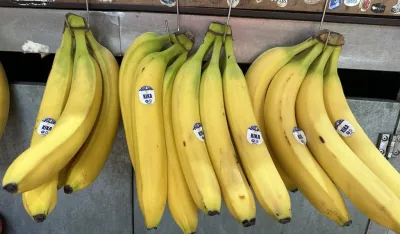 Banane od 0,65 do 1,50 eura