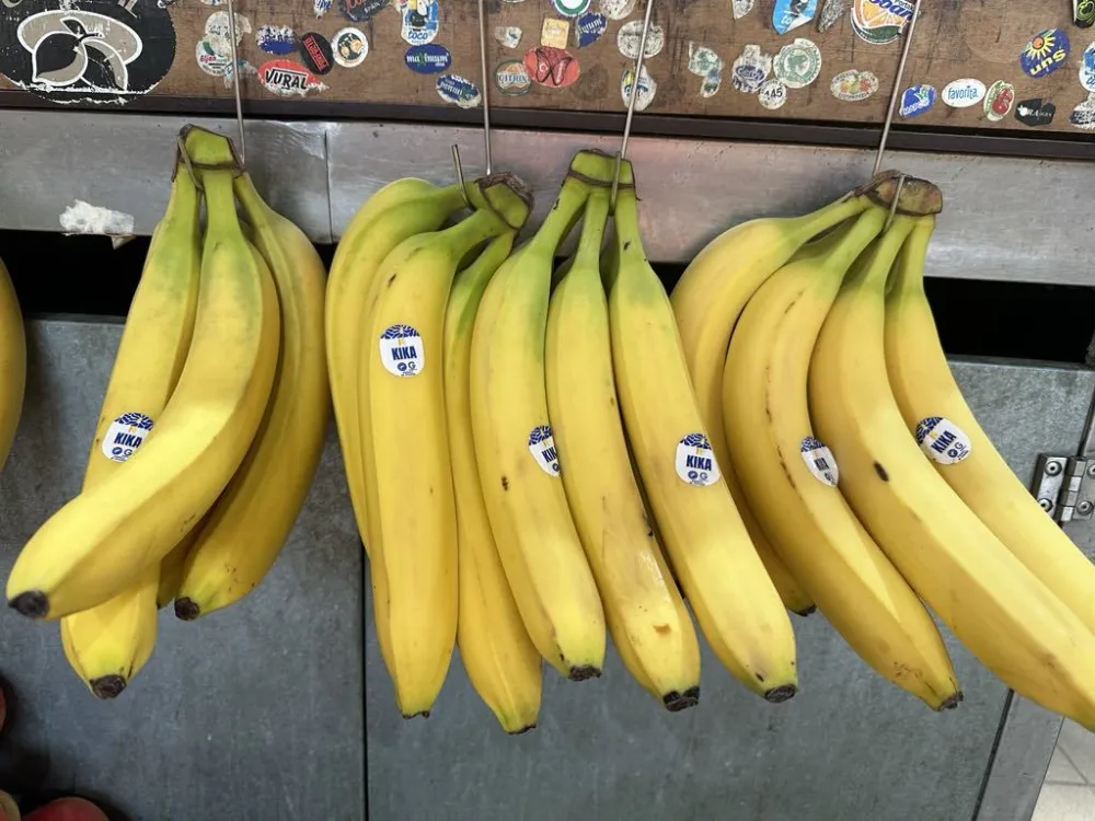 Banane od 0,65 do 1,50 eura