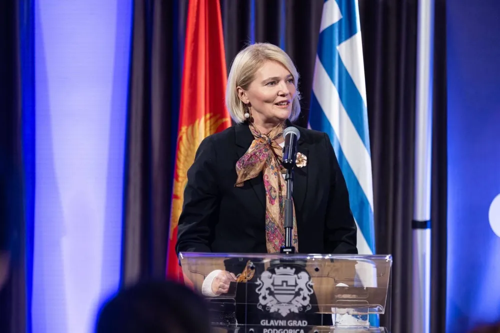 Injac: Upravna inspekcija nenadležna za nadzor nad primjenom Zakona o za&scaron;titi i spa&scaron;avanja