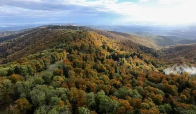 Pola Hrvatske pod &scaron;umama: Prepoznatljivi po dva tipa