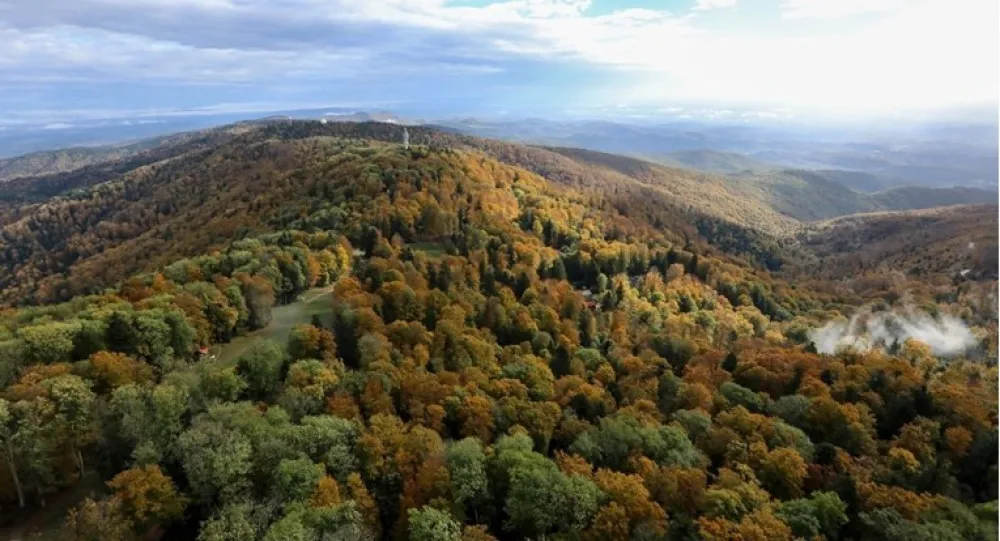 Pola Hrvatske pod &scaron;umama: Prepoznatljivi po dva tipa