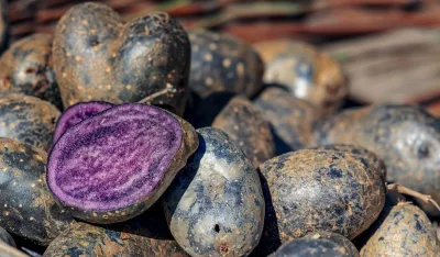 Novi gastro trendovi za 2024.