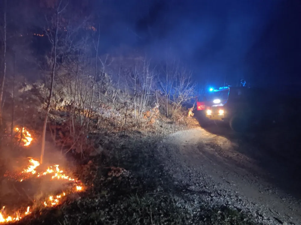 Služba za&scaron;tite i spasavanja Bijelo Polje za period јanuar- februar lokalizovala oko 40 &scaron;umskih požara