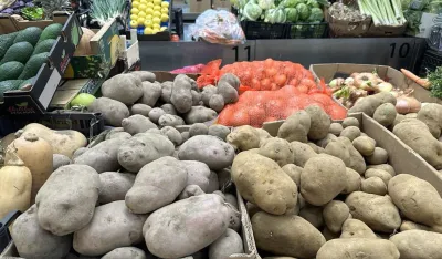 Za kilo mladog luka četiri kilograma krompira