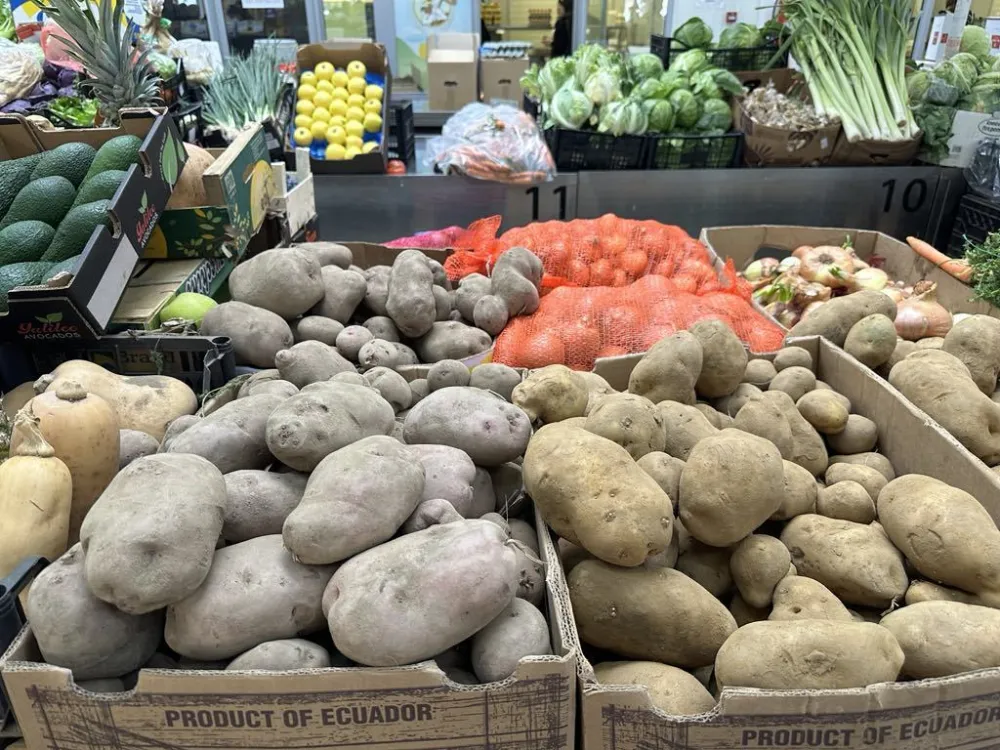 Za kilo mladog luka četiri kilograma krompira