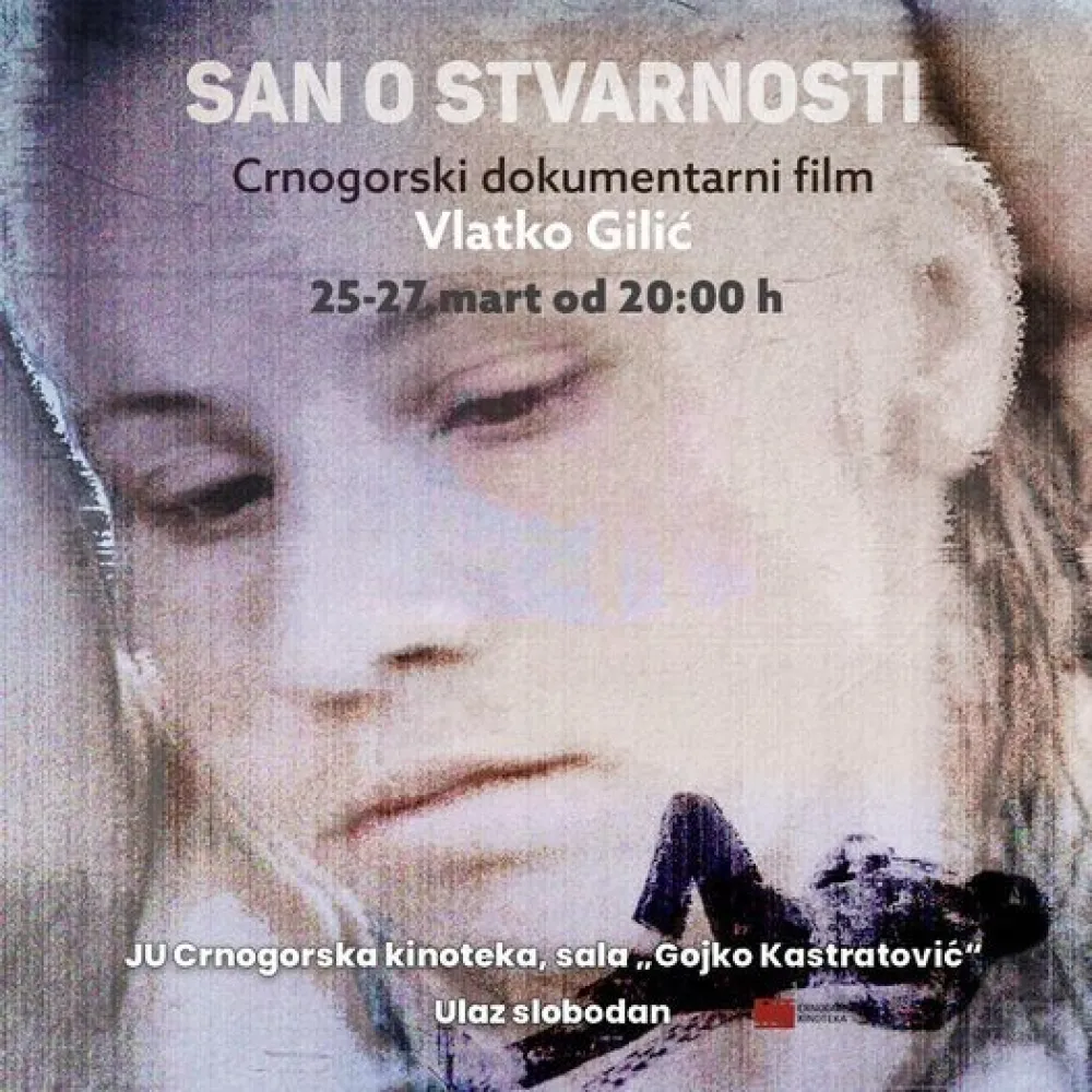 Vizual za de&scaron;avanje