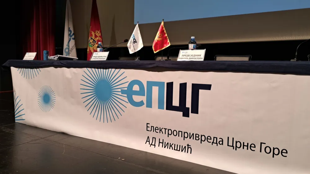 skupstina akcionara epcg