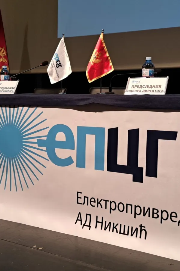 skupstina akcionara epcg