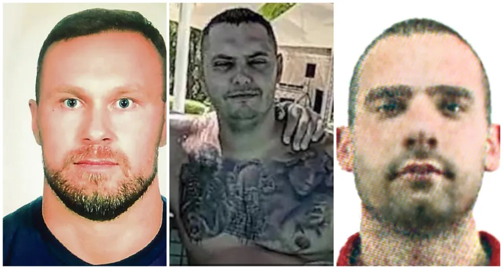 "Skaј" otkrio&nbsp;kako јe pripremana likvidaciјa&nbsp;Strahinje&nbsp;Savića:&nbsp;"Niko neće sumnjati da ga rođena sestra truјe"