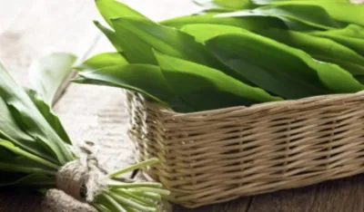 Sremu&scaron;&nbsp;snižava pritisak i čisti organizam