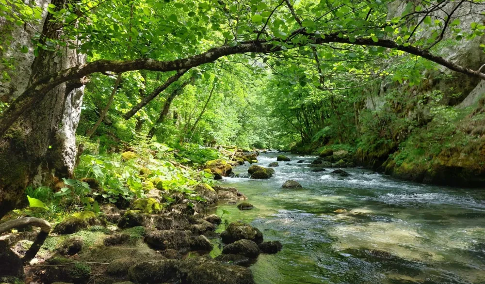 Bistrica - Đalovića klisura