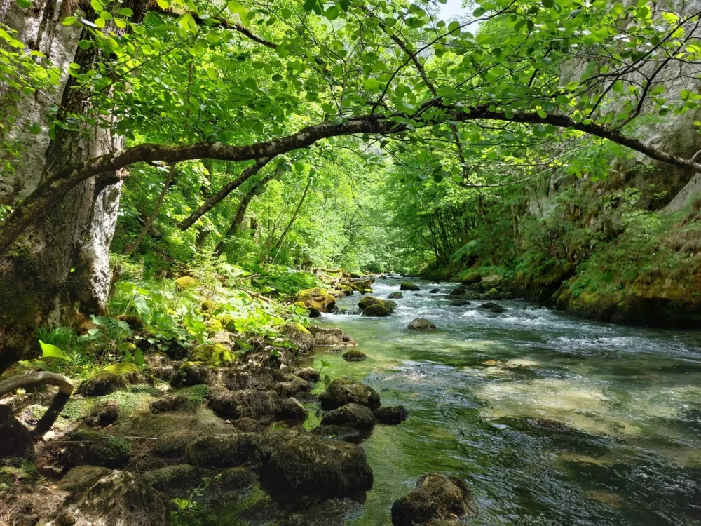 Bistrica - Đalovića klisura