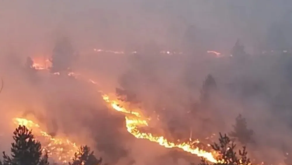 Požar u Pljevljima izmiče kontroli; Vrane&scaron;: Sazvaćemo op&scaron;tinski krizni &scaron;tab